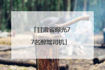 甘肃省曝光77名醉驾司机