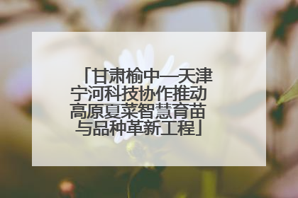 甘肃榆中—天津宁河科技协作推动高原夏菜智慧育苗与品种革新工程