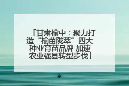 甘肃榆中：聚力打造“榆苗陇萃”四大种业育苗品牌 加速农业强县转型步伐