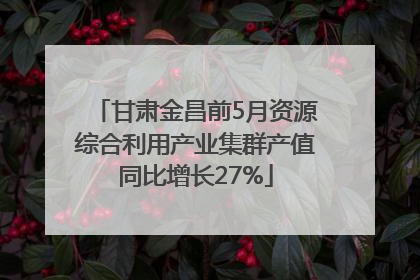 甘肃金昌前5月资源综合利用产业集群产值同比增长27%