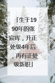 生于1990年的张宸珲，升正处级4年后，再有正处级新职