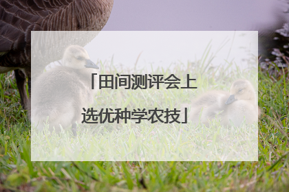 田间测评会上选优种学农技