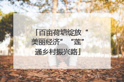 百亩荷塘绽放“美丽经济”“莲”通乡村振兴路