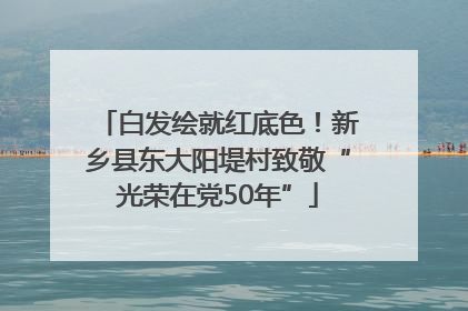 白发绘就红底色！新乡县东大阳堤村致敬“光荣在党50年”