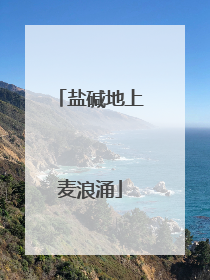 盐碱地上麦浪涌