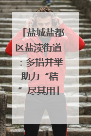 盐城盐都区盐渎街道：多措并举 助力“秸”尽其用