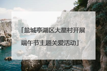 盐城亭湖区大星村开展端午节主题关爱活动