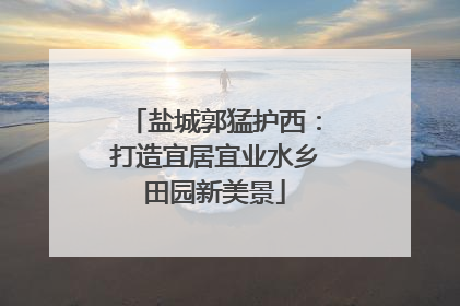 盐城郭猛护西：打造宜居宜业水乡田园新美景