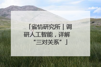 省情研究所｜调研人工智能，详解“三对关系”