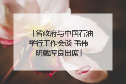 省政府与中国石油举行工作会谈 毛伟明戴厚良出席