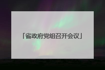 省政府党组召开会议