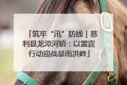 筑牢“汛”防线｜慈利县龙潭河镇：以雷霆行动迎战暴雨洪峰
