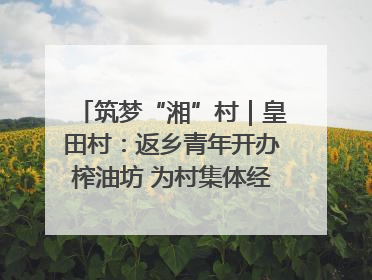 筑梦“湘”村｜皇田村：返乡青年开办榨油坊 为村集体经济“加油”