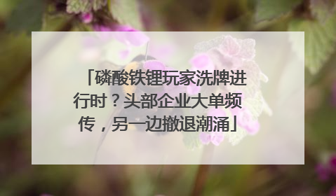 磷酸铁锂玩家洗牌进行时？头部企业大单频传，另一边撤退潮涌