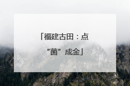 福建古田：点“菌”成金