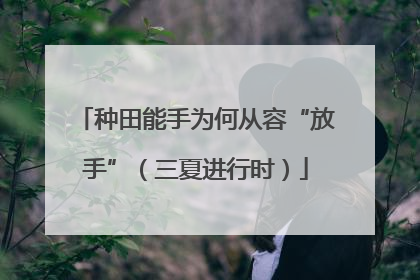 种田能手为何从容“放手”（三夏进行时）