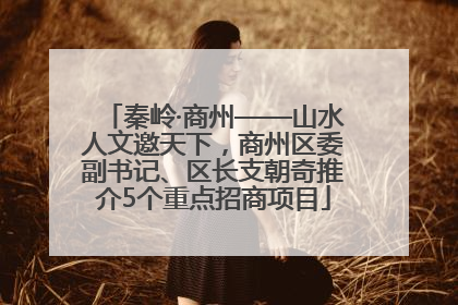 秦岭·商州——山水人文邀天下，商州区委副书记、区长支朝奇推介5个重点招商项目