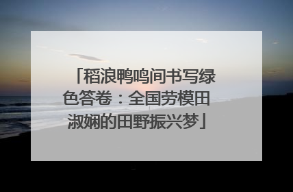 稻浪鸭鸣间书写绿色答卷：全国劳模田淑娴的田野振兴梦