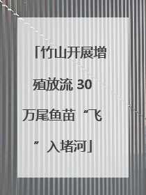 竹山开展增殖放流 30万尾鱼苗“飞”入堵河
