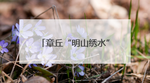 章丘“明山绣水”片区：构建全链条文旅产业体系，开辟富民增收新路径