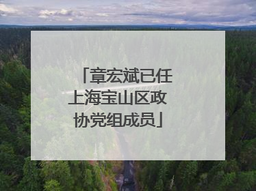 章宏斌已任上海宝山区政协党组成员