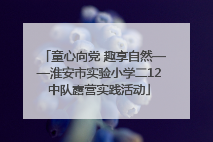 童心向党 趣享自然——淮安市实验小学二12中队露营实践活动