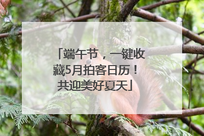 端午节，一键收藏5月拍客日历！共迎美好夏天