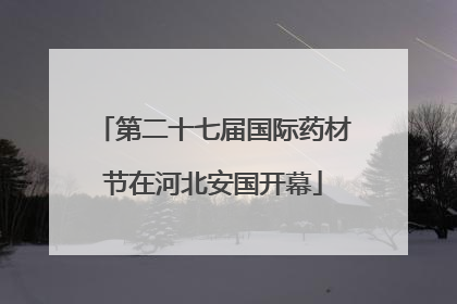 第二十七届国际药材节在河北安国开幕