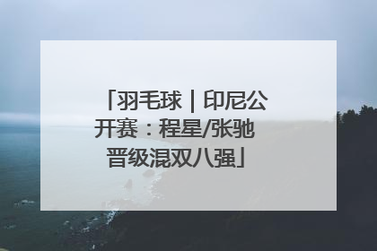 羽毛球｜印尼公开赛：程星/张驰晋级混双八强
