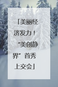美丽经济发力！“美创静界”首秀上交会