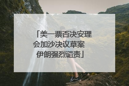 美一票否决安理会加沙决议草案 伊朗强烈谴责