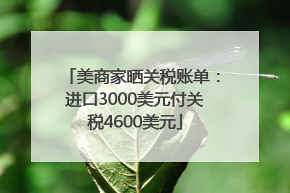 美商家晒关税账单：进口3000美元付关税4600美元