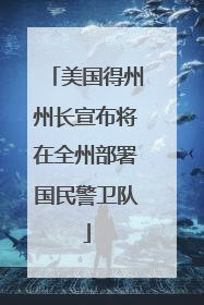 美国得州州长宣布将在全州部署国民警卫队