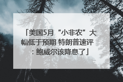 美国5月“小非农”大幅低于预期 特朗普速评：鲍威尔该降息了