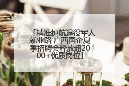 精准护航退役军人就业路 广西国企夏季招聘会释放超2000+优质岗位