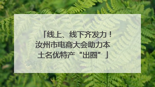 线上、线下齐发力！汝州市电商大会助力本土名优特产“出圈”