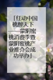 红动中国 桃醉天下——蒙阴蜜桃消费季暨蒙阴蜜桃产业推介会成功举办