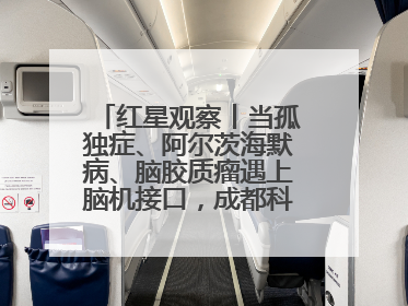 红星观察丨当孤独症、阿尔茨海默病、脑胶质瘤遇上脑机接口，成都科研改变医学图景