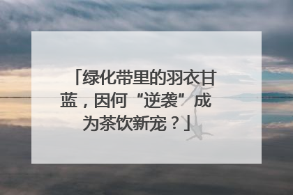 绿化带里的羽衣甘蓝，因何“逆袭”成为茶饮新宠？