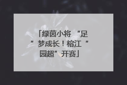 绿茵小将 “足”梦成长！榕江“园超”开赛