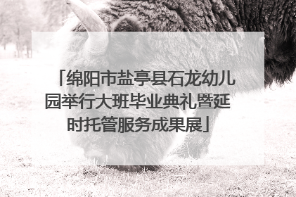 绵阳市盐亭县石龙幼儿园举行大班毕业典礼暨延时托管服务成果展