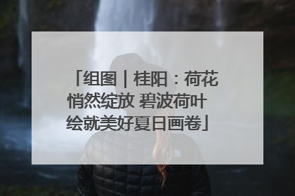 组图｜桂阳：荷花悄然绽放 碧波荷叶绘就美好夏日画卷