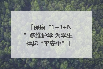 保康“1+3+N”多维护学 为学生撑起“平安伞”