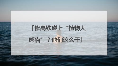 修高铁碰上“植物大熊猫”？他们这么干