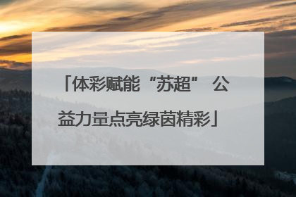 体彩赋能“苏超” 公益力量点亮绿茵精彩