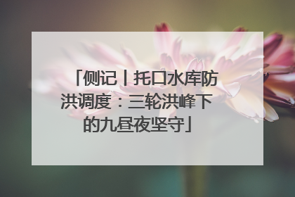侧记丨托口水库防洪调度：三轮洪峰下的九昼夜坚守