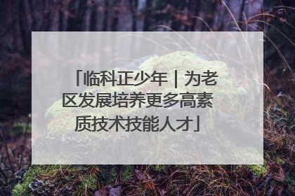 临科正少年｜为老区发展培养更多高素质技术技能人才