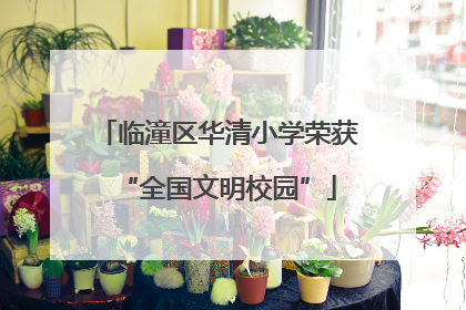临潼区华清小学荣获“全国文明校园”