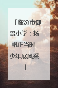 临汾市御景小学：扬帆正当时 少年展风采
