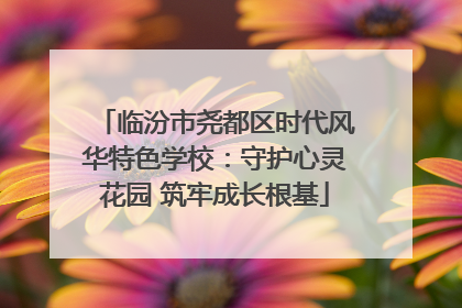 临汾市尧都区时代风华特色学校：守护心灵花园 筑牢成长根基